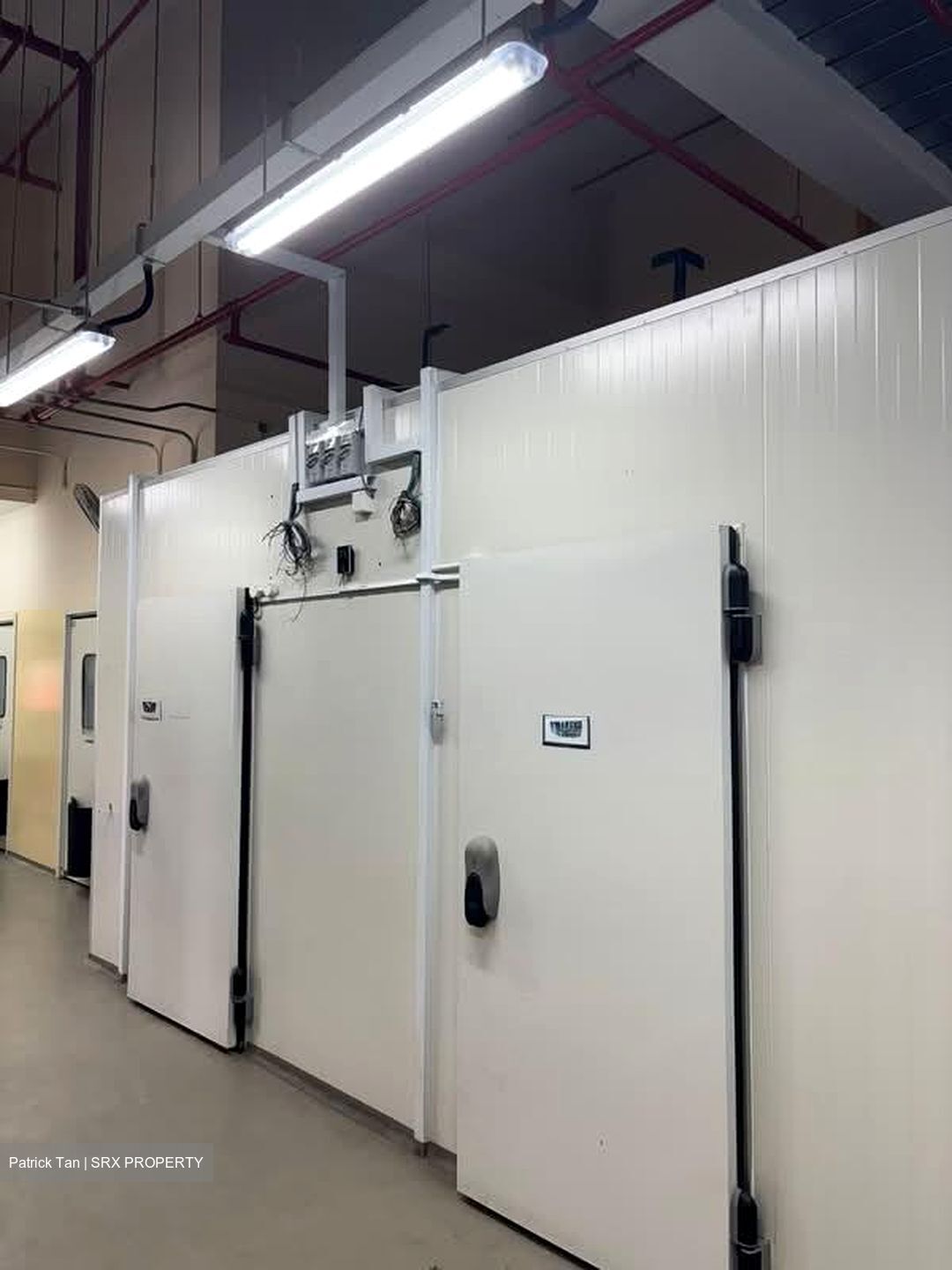 CT FoodCHAIN (D5), Factory #543639991